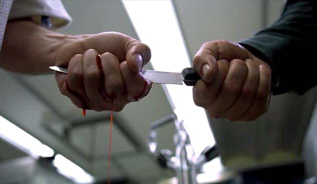 experiment2001_g